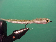 mullet mullet Mullet fly