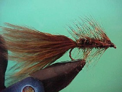 woollybugger15 My woolly bugger fly box