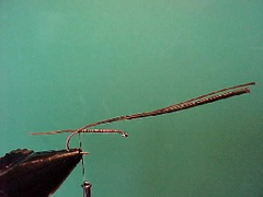 pheasanta pheasanta Pheasant tail nymph variant