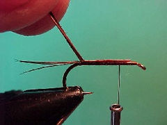 pheasantc pheasantc Pheasant tail nymph variant