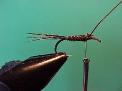 pheasantd pheasantd Pheasant tail nymph variant