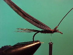 pheasante pheasante Pheasant tail nymph variant