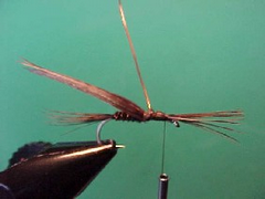 pheasantf pheasantf Pheasant tail nymph variant