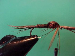 pheasanth pheasanth Pheasant tail nymph variant