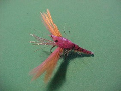 shrimpshellnipper Shrimp shell prawn and nipper
