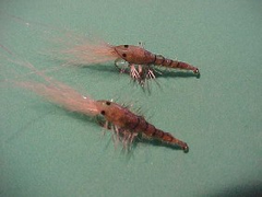 shrimpshellshrimp Shrimp shell shrimp and yabby