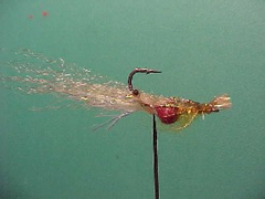 pregnantprawn2 Pregnant prawn