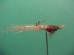 pregnantprawn3 Pregnant prawn