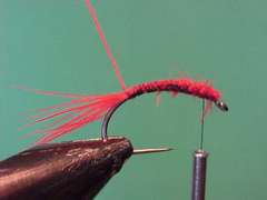 blooda Bloodworm