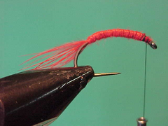 bloodb Bloodworm