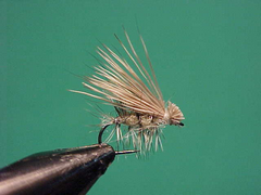 elkhair3 Elk hair caddis