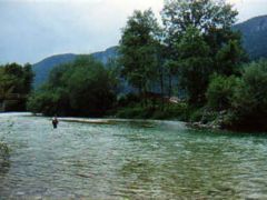 sava1 Im off to Slovenia