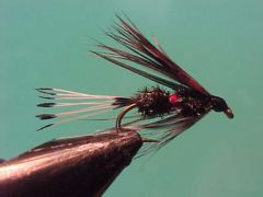 Royal coachman - wet