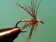 Partridge and chartreuse