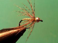 TBH chartridge and partridge spider