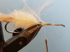 art rattle swimmer f