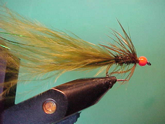 Medium to large orange TBH olive Magoo