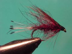 Chatto's soft hackle mallard & claret