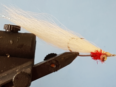 blue-water-minnow-white