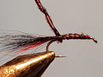 claret-caddis-d