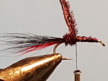 claret-caddis-e