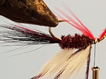 claret-caddis-i