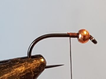 pheasant-partridge-b