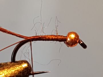 pheasant-partridge-e