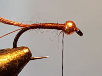 pheasant-partridge-f