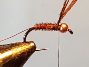 pheasant-partridge-g