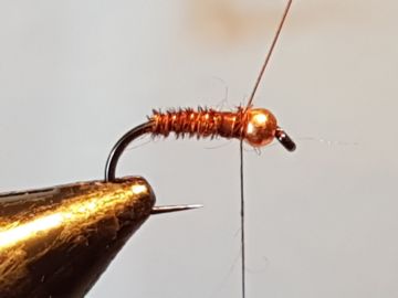 pheasant-partridge-h