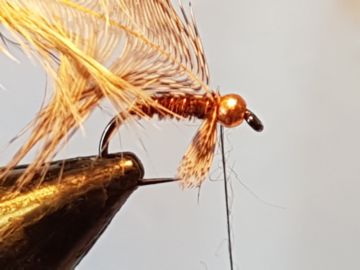 pheasant-partridge-j