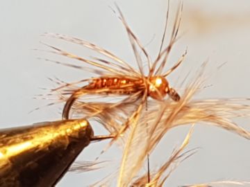 pheasant-partridge-k