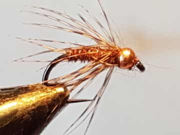 pheasant-partridge-l