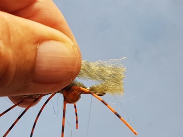 10cm-prawn-k