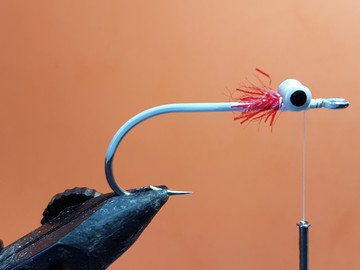 reef minnow-c
