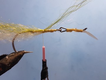 bait-d