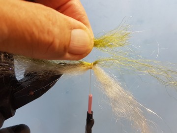 bait-n