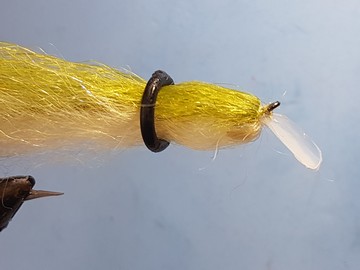 bait-p