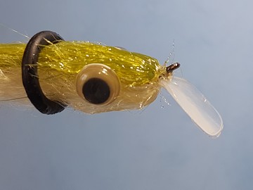 bait-q