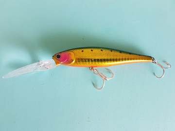 pointer-golden-green-sadine