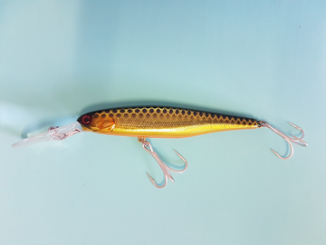 squirrel-spark-gold-black