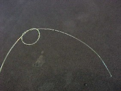 lefetya