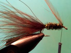 browndamselb