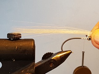 syn-clouser-e