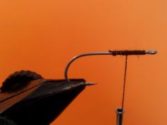 bass-tease-a