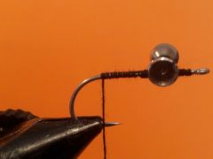 bass-tease-b