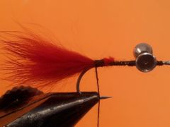 bass-tease-c