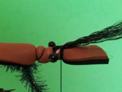 foam-cicadae