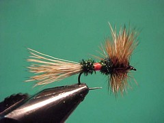 #10 to #12 Royal Wulff